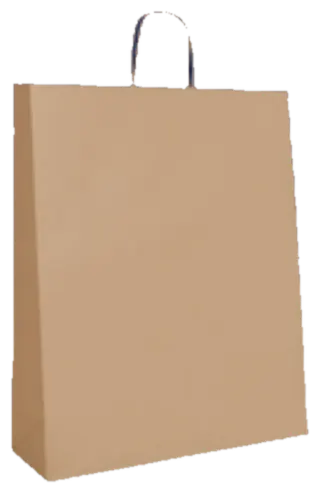 Paper Twist Handle / PTH Carry Bag