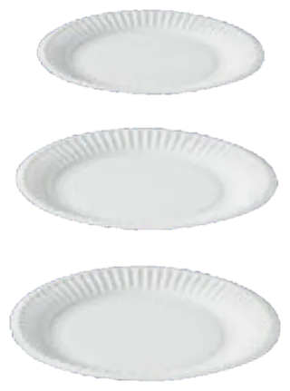 Paper Plate
